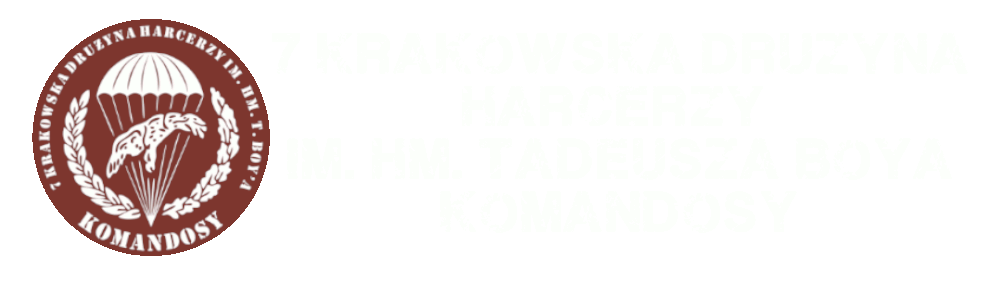 Komandosy